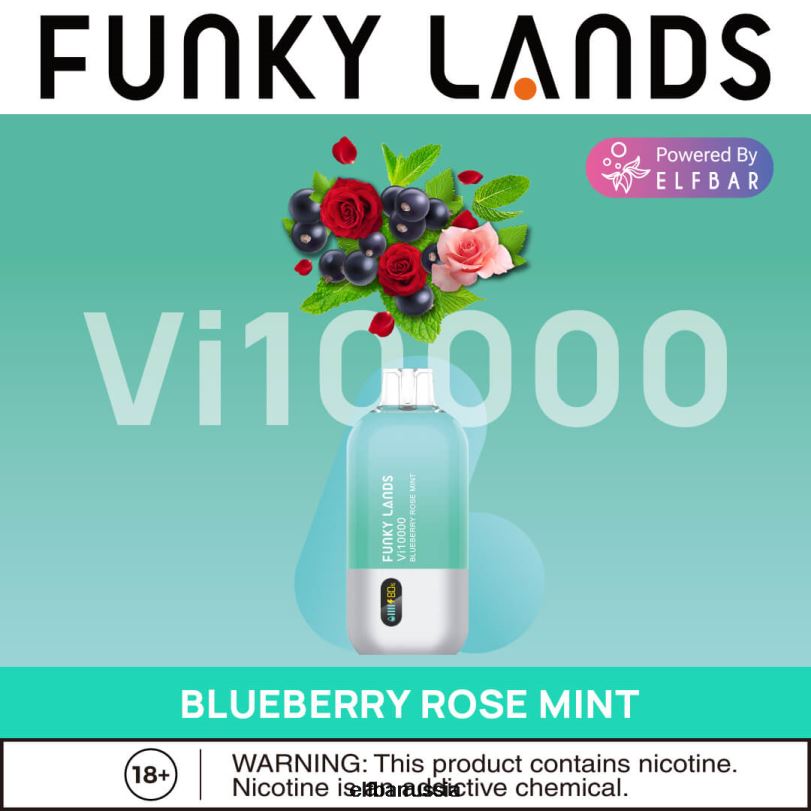 ELFBAR Одноразовые сигареты Funky Lands vi10000 черника роза мята V4DFP163