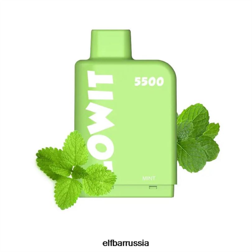 ELFBAR предварительно заполненный контейнер lowit 5500 затяжек 2%nic мята V4DFP141